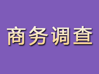 浮山商务调查